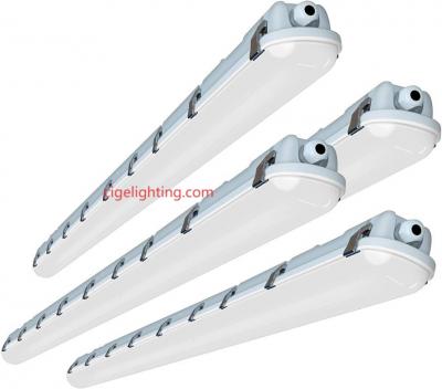 Cigelighting's Triproof Led Light Factory Approach