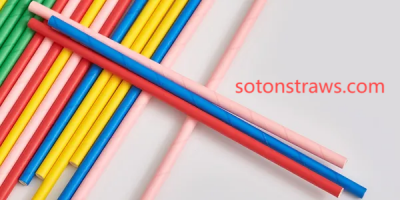  From Mulberry to Metaverse: Eco-Friendly Paper Straws Manufact