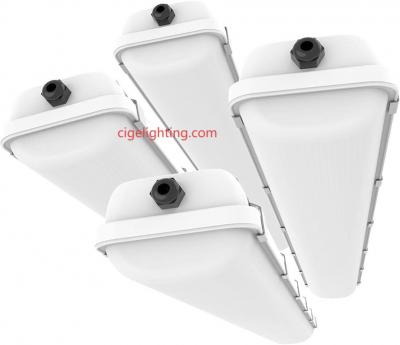 Cigelighting Led Tri-proof Fixture: Antimicrobial Lighting Syst