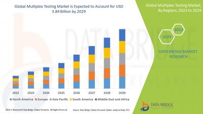 Diagnostics Redefined: Global Multiplex Testing Market Forecast